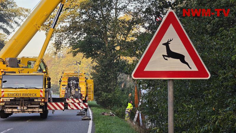 Unbeladener Tiertransporter weicht auf B214 einem Reh aus – Gespann stürzt in zwei Meter tiefen Straßengraben und prallt gegen mehrere Bäume – Fahrer leicht verletzt – Aufwendige Kranbergung bei Vollsperrung