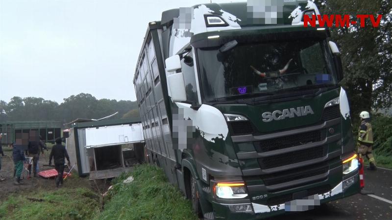 Mit 160 Schweinen beladener Tiertransporter kommt von Fahrbahn ab – Viehanhänger kippt um – Feuerwehr verhindert Entlaufen auf die B 68 – einige Schweine verenden oder müssen notgeschlachtet werden – Fahrer bleibt unverletzt - Bergung fordert weitere Sperrung der Bundesstraße