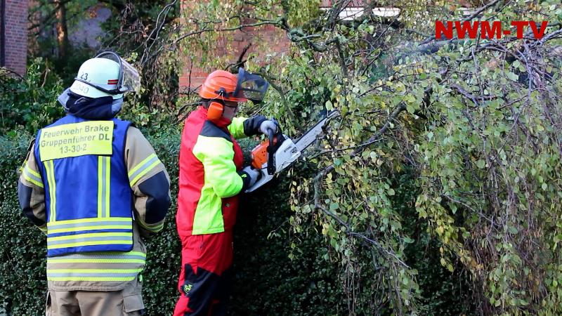 Linde kippt in der Nacht vor Wohnhaus – Baumkrone versperrt Gehweg und Hauseingang – Feuerwehr schneidet Zugänge frei